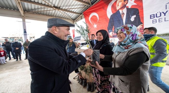 Başkan Soyer'den zeytinlik düzenlemesine tepki