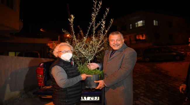 Bornova'da zeytin budama eğitimi