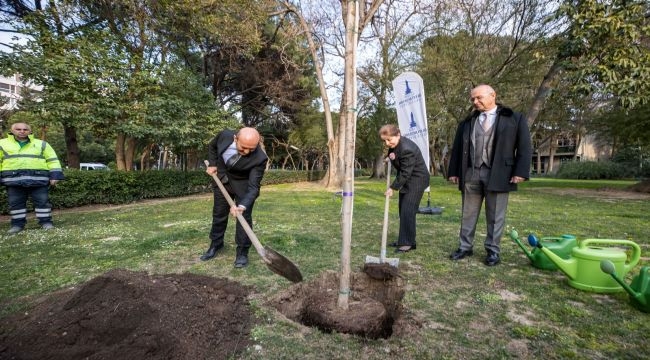 Brezilya'dan İzmir'e kardeşlik fidanı