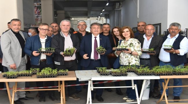 Bornova'da üreticiye 350 bin fide