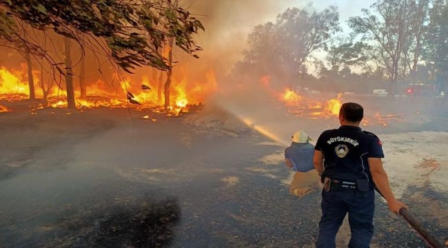  İzmir'in ormanlarını korumak için zabıta iş başında