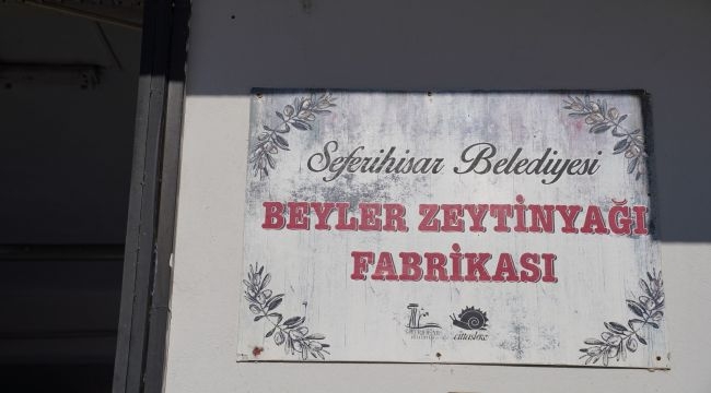 Seferihisar'da zeytinyağı sıkımı 