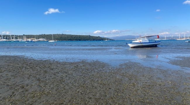 Sığacık'ta deniz çekilmesi 