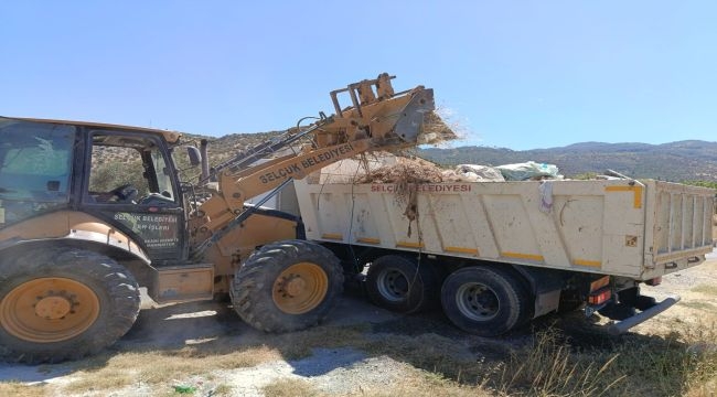 Efes Selçuk'ta Moloz Temizliği: Büyükşehir İle Ortak Çalışmalar Devam Ediyor